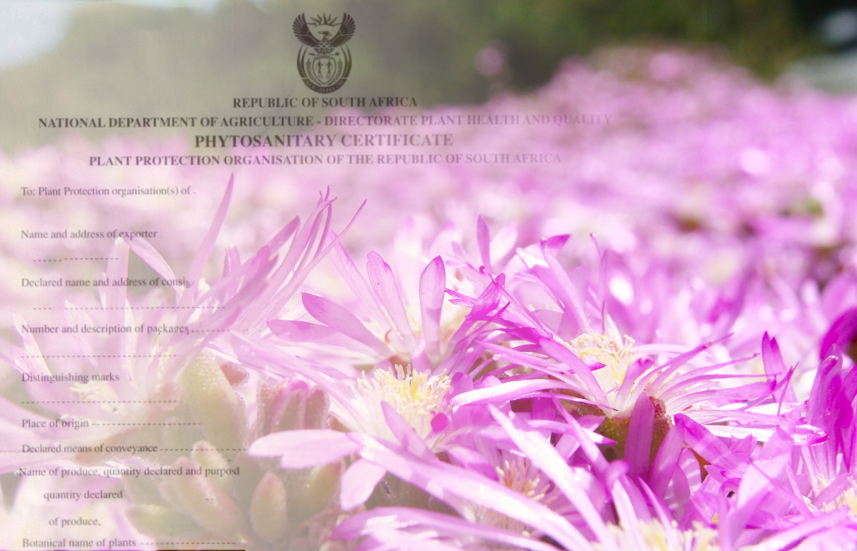 South African Phytosanitary Certificate & Plant Passport-johannesburg-capetown-durban