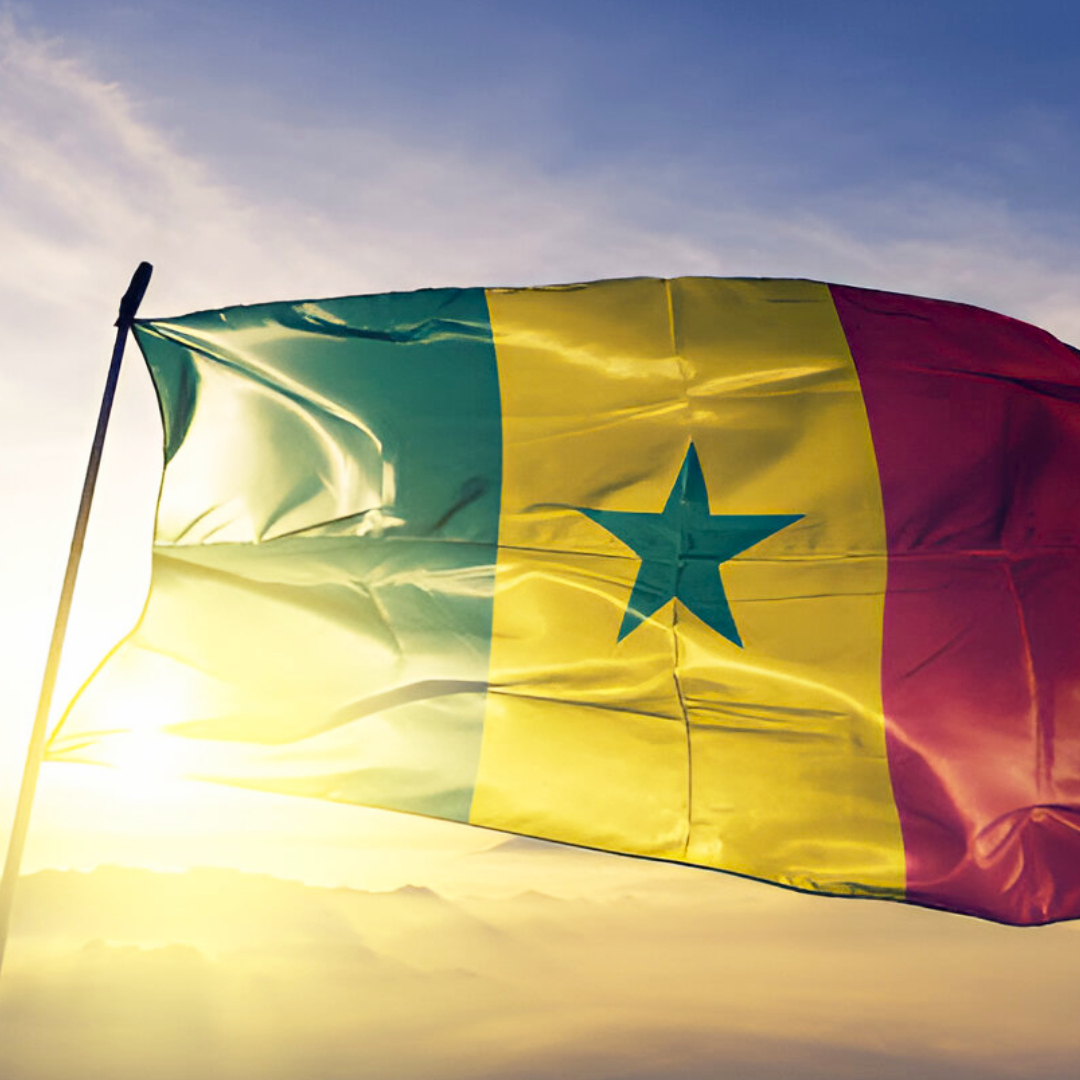 Senegal Visa Agent in Pretoria – Fast and Reliable Visa Processing 2 - 3 Working Days | R2999.99